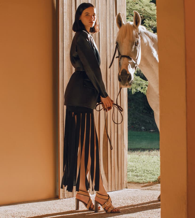 Alexandre Birman brand image