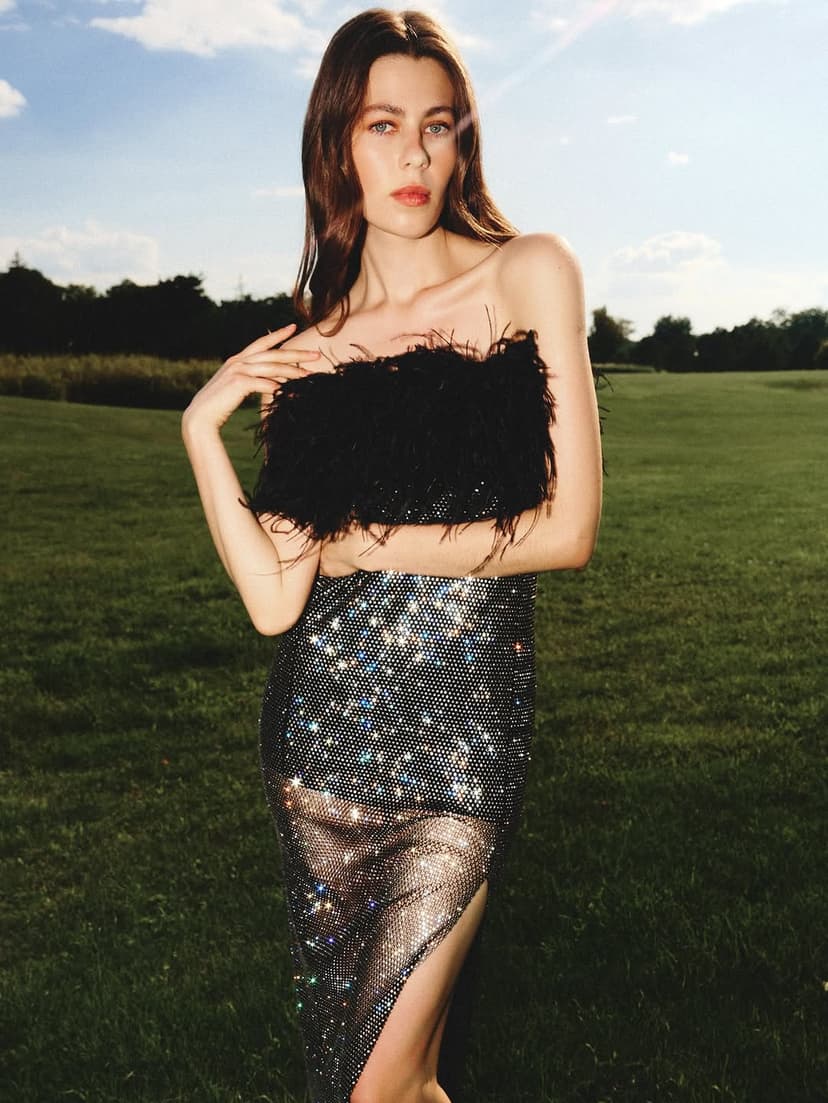 Santa Brands brand image