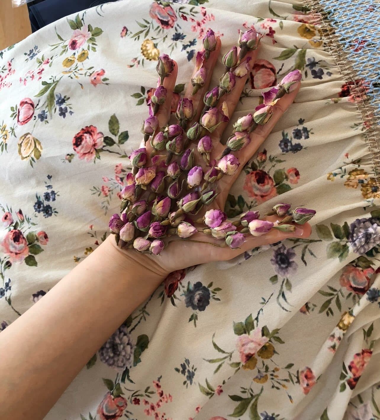 Instagram image