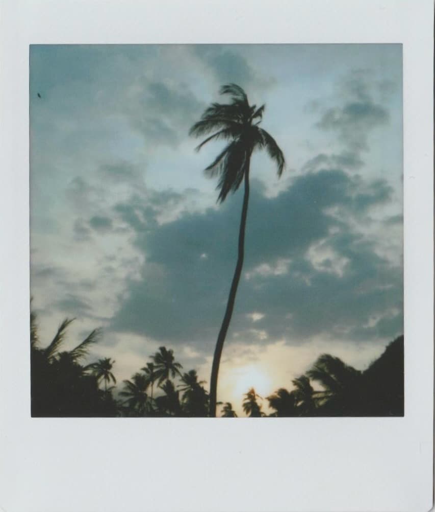 Instagram image