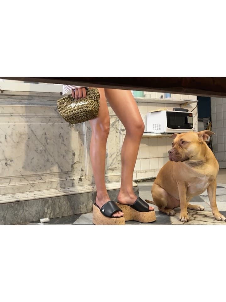 Instagram image