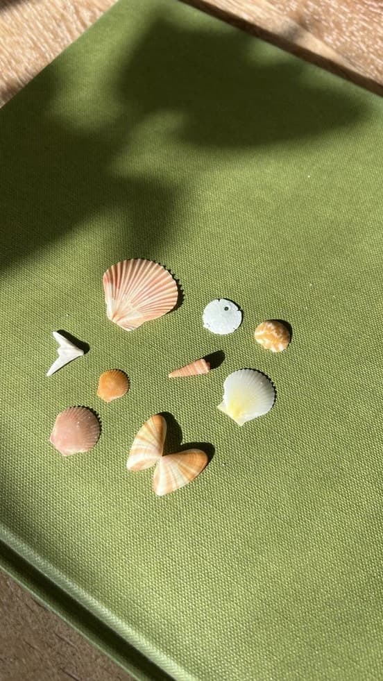 Instagram image