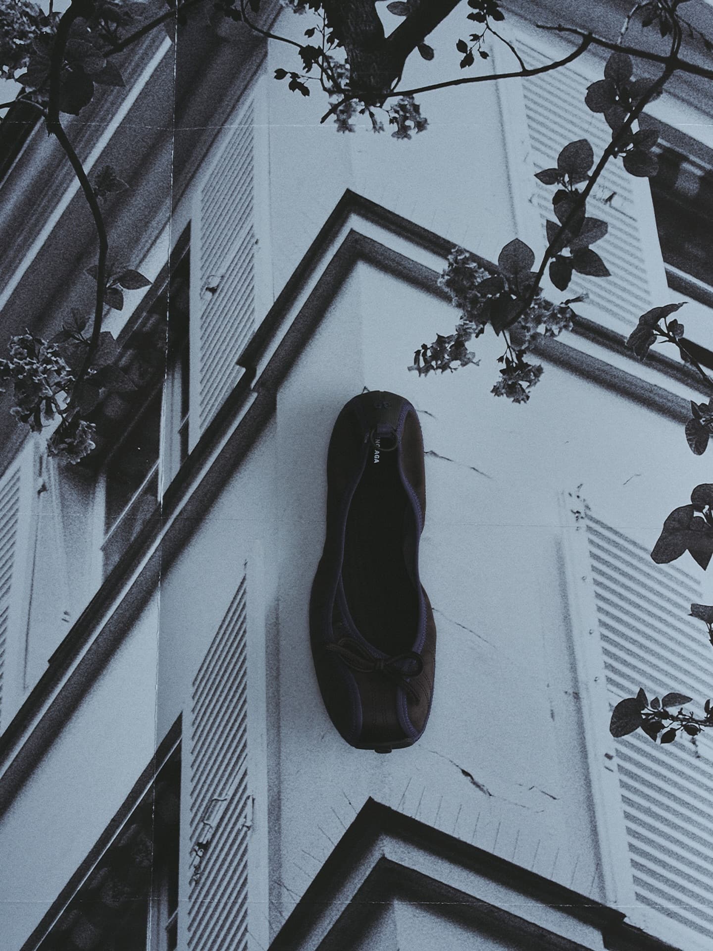 Instagram image