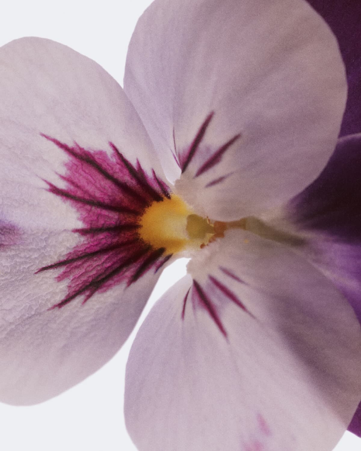 Instagram image