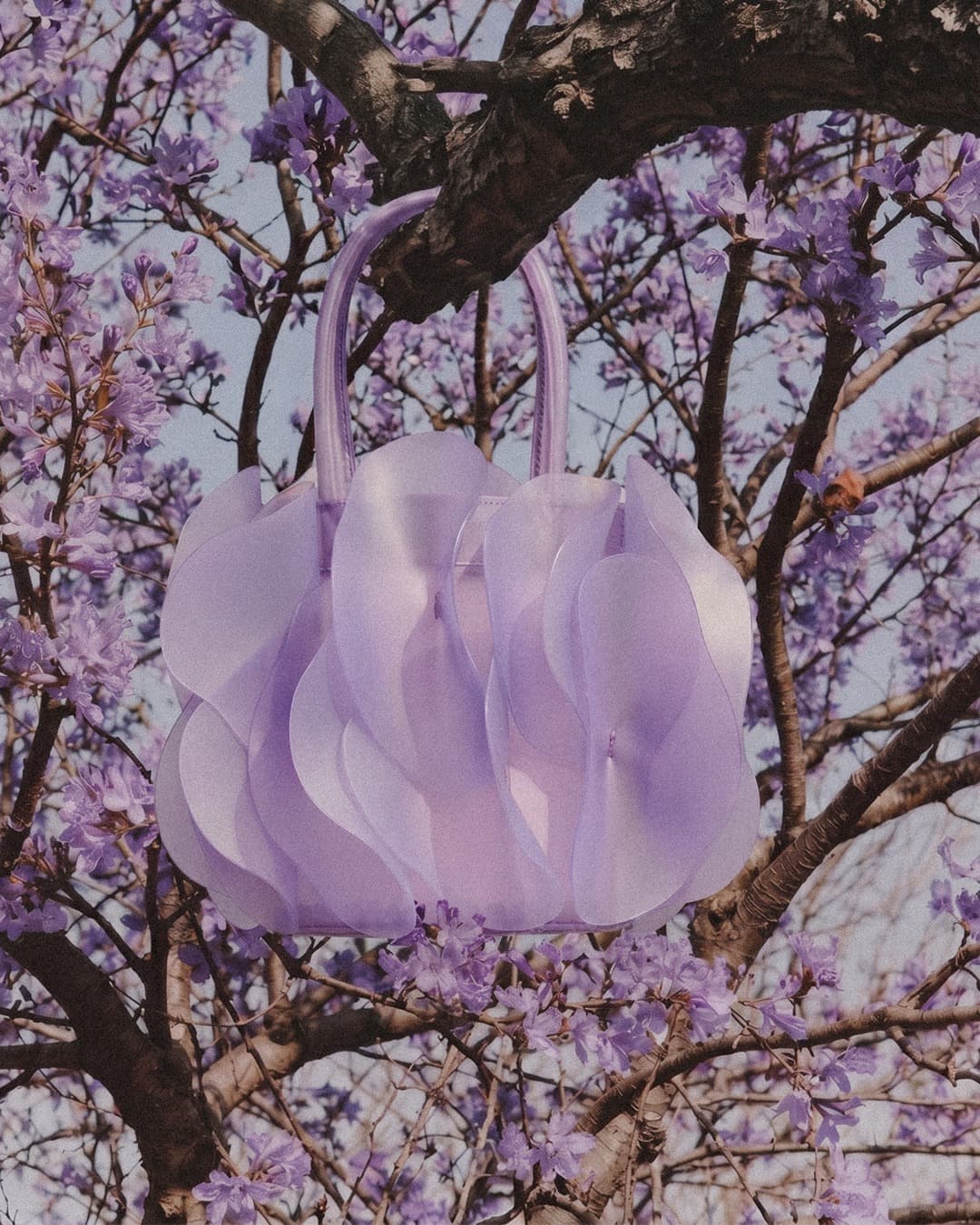 Instagram image