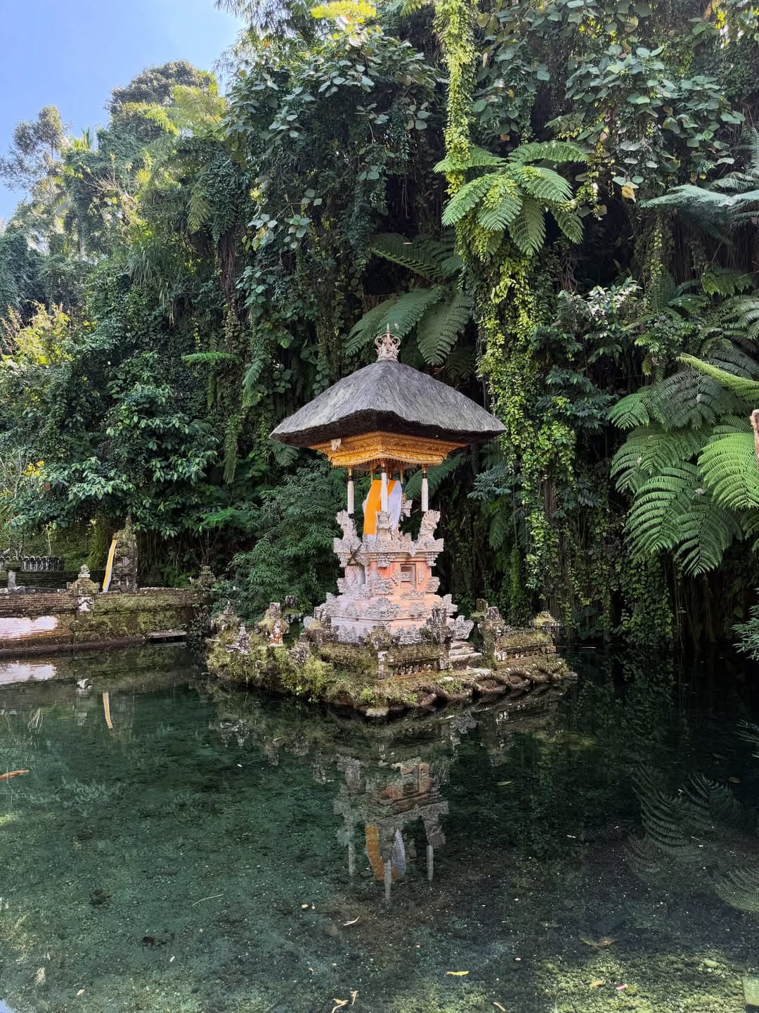 Instagram image