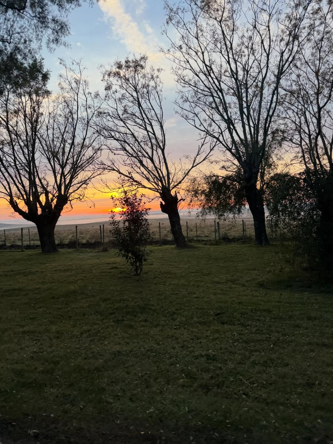 Instagram image