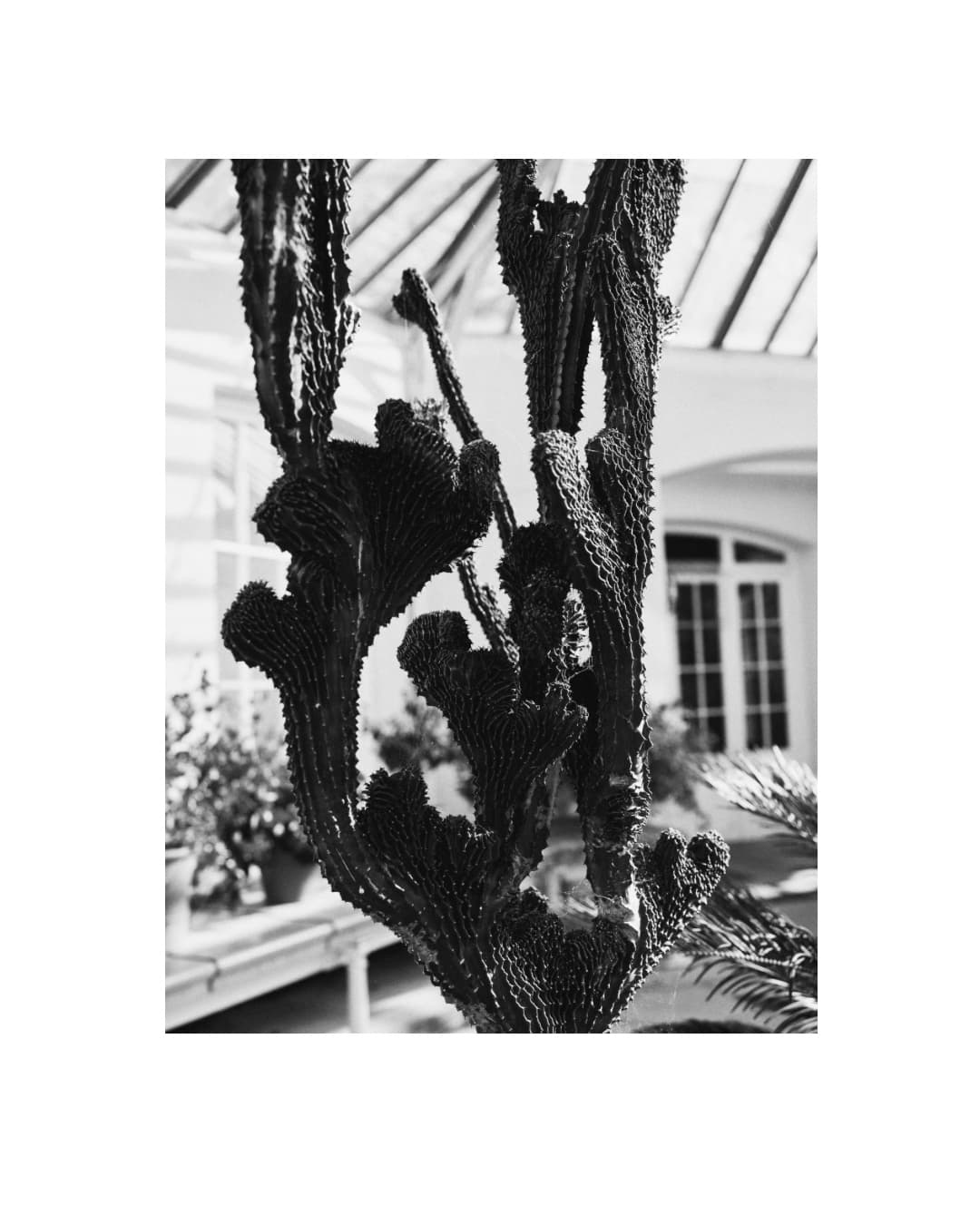 Instagram image