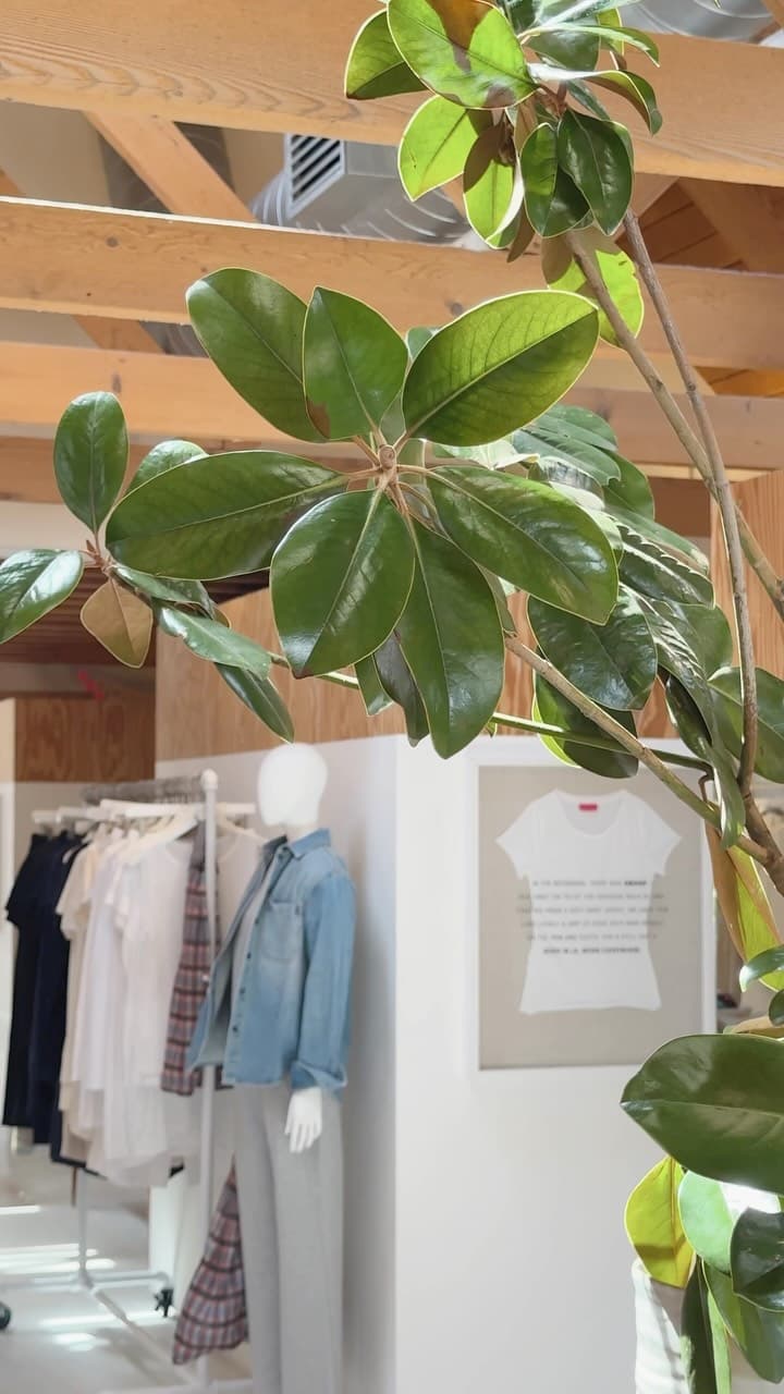 Instagram image
